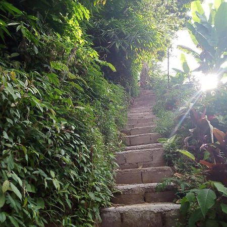 Jungleadventure Cabin Camping Bedugul  Eksteriør bilde
