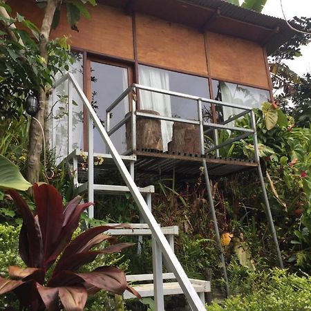 Jungleadventure Cabin Camping Bedugul  Eksteriør bilde