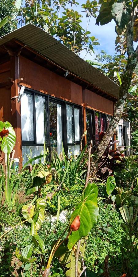 Jungleadventure Cabin Camping Bedugul  Eksteriør bilde
