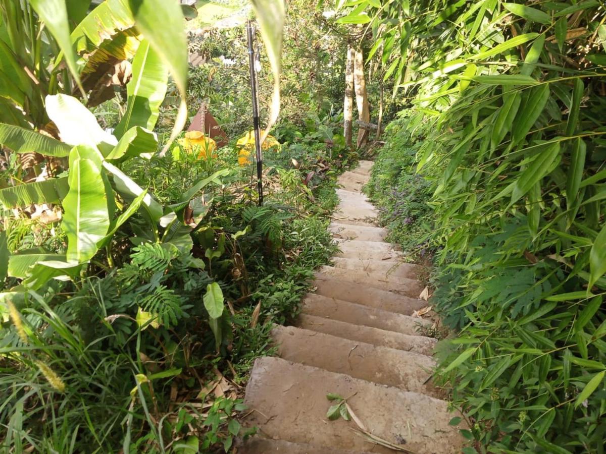 Jungleadventure Cabin Camping Bedugul  Eksteriør bilde